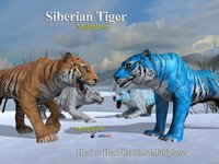 Tiger Multiplayer - Siberia screenshot, image №973966 - RAWG
