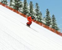 Alpine Ski Racing 2007 screenshot, image №464236 - RAWG