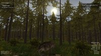 Wolf Simulator screenshot, image №129263 - RAWG