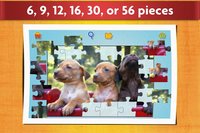 Dogs Jigsaw Puzzles Game - For Kids & Adults 🐶 screenshot, image №1466262 - RAWG