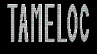 Tameloc screenshot, image №2234976 - RAWG