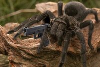 The Attack of the mutant spiders screenshot, image №3752236 - RAWG