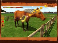 Horse Show Jumping Challenge screenshot, image №906235 - RAWG