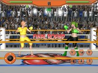 Real Women Boxing Mayhem screenshot, image №908690 - RAWG