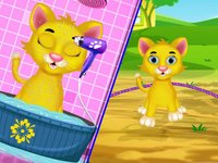 Kitty Care: Cute Pet Care screenshot, image №1769148 - RAWG