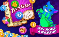 Bingo Wonderland screenshot, image №1416535 - RAWG