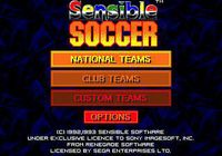 Sensible Soccer screenshot, image №739533 - RAWG