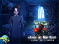 Surface: Alone in the Mist - A Hidden Object Mystery (Full) screenshot, image №2063993 - RAWG