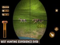 Ultimate Hunting: Jungle Wild screenshot, image №1611652 - RAWG