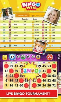 Bingo Win screenshot, image №2094064 - RAWG