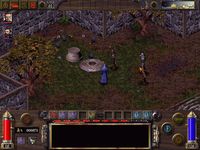 Arcanum: Of Steamworks and Magick Obscura screenshot, image №217886 - RAWG