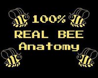 100% Real Bee Anatomy screenshot, image №1921404 - RAWG