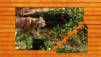Wild Lynx Jigsaw screenshot, image №4161180 - RAWG
