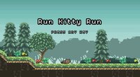 Run Kitty Run (itch) screenshot, image №3498395 - RAWG