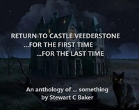Return to Castle Veederstone ...for the first time ...for the last time screenshot, image №3089878 - RAWG