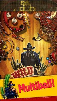 Wild West Pinball screenshot, image №1354267 - RAWG