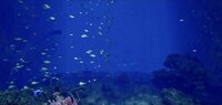 Aquarium at August 32nd VR screenshot, image №4130752 - RAWG