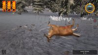 Deer Hunter Tournament screenshot, image №346393 - RAWG