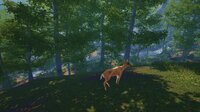 Big Cat Rescue VR screenshot, image №2611872 - RAWG