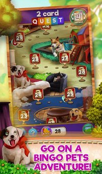 Bingo Pets Party: Dog Days screenshot, image №2084389 - RAWG