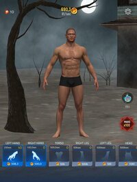 Idle Transformation screenshot, image №2456374 - RAWG