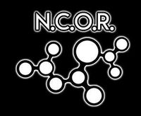 NCOR screenshot, image №1240003 - RAWG