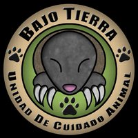 Bajo Tierra screenshot, image №1714427 - RAWG