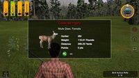 Deer Hunter Tournament screenshot, image №346441 - RAWG