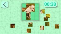 Ultimate Puzzles Animals 5 screenshot, image №2964992 - RAWG