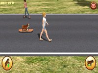 Bulldog on Skateboard 3D screenshot, image №1695201 - RAWG