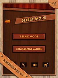 Unblock Board HD screenshot, image №1903188 - RAWG