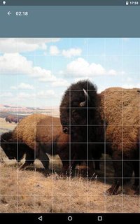 Jigsaw Puzzle: Animals screenshot, image №1497953 - RAWG