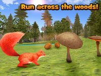 Wild Squirrel Simulator 3D screenshot, image №1333231 - RAWG
