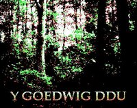 Y GOEDWIG DDU screenshot, image №2860237 - RAWG