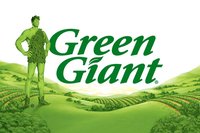 Green Man Cometh screenshot, image №1836767 - RAWG