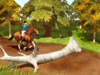 Rider's World Competition screenshot, image №486021 - RAWG