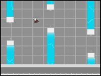 FlappyTurd screenshot, image №1284765 - RAWG