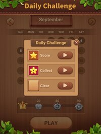 Wood Block Puzzle Sudoku screenshot, image №3380408 - RAWG