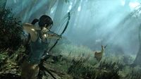 Tomb Raider (2013) screenshot, image №276768 - RAWG