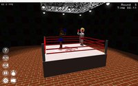 Toy Boxing 3D screenshot, image №945143 - RAWG