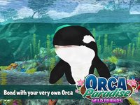 Orca Paradise: Wild Friends screenshot, image №1932572 - RAWG