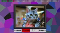 Test your knowledge: Cats screenshot, image №825143 - RAWG