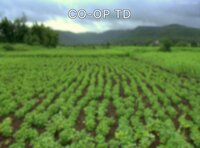 CO-OP TD screenshot, image №2978806 - RAWG