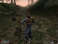 The Elder Scrolls III: Morrowind screenshot, image №290029 - RAWG