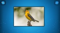 PUZZLE: BIRDS screenshot, image №1788108 - RAWG