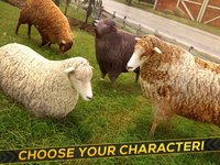 Sheep Racing Adventure in The Tiny Virtual Pet Town screenshot, image №2024604 - RAWG