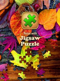 Jigsaw Puzzle Pro screenshot, image №2036703 - RAWG