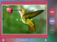 Déjà Vu - Zoo screenshot, image №1336296 - RAWG