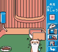 Ferret Monogatari: Watashi no Okiniiri screenshot, image №3804132 - RAWG