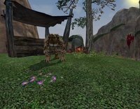 EverQuest II: Echoes of Faydwer screenshot, image №454324 - RAWG